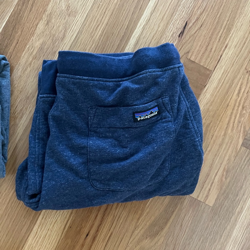 Patagonia sweatpants